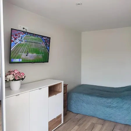 Center Rutu Street Apartman *