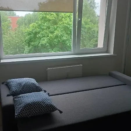 Center Rutu Street 클라이페다