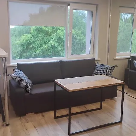 Center Rutu Street * 클라이페다