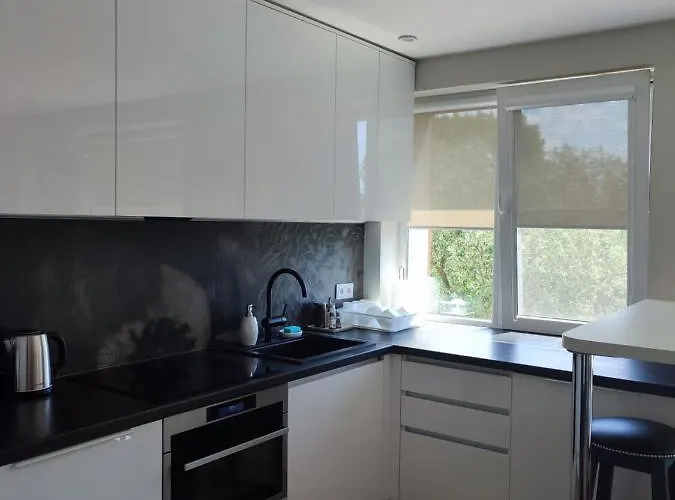 Center Rutu Street Апартаменты Клайпеда