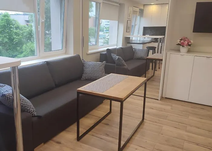 Center Rutu Street アパート クライペダ