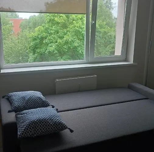 Center Rutu Street クライペダ