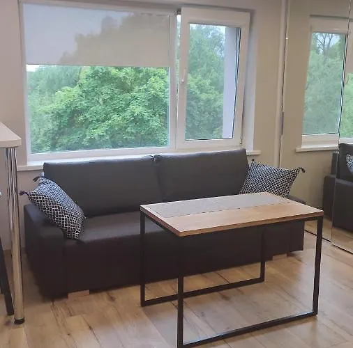 Center Rutu Street * クライペダ